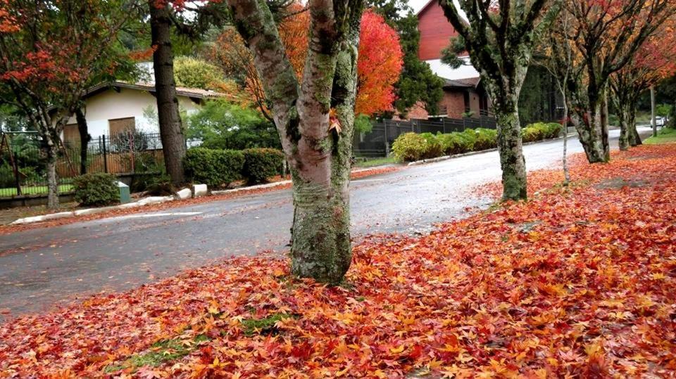 Apartamento Familia Sirangelo Gramado Zewnętrze zdjęcie